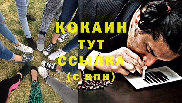 не бодяженный Гусь-Хрустальный