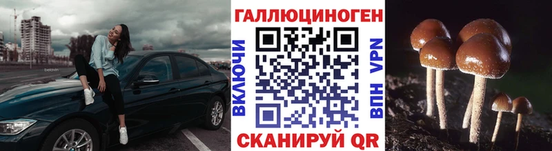 где найти   Нефтекамск  blacksprut   Псилоцибиновые грибы мухоморы 
